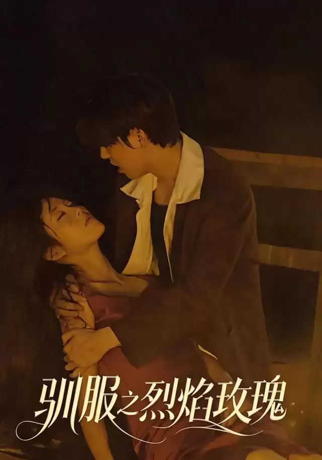 短剧《驯服之烈焰玫瑰》剧情介绍