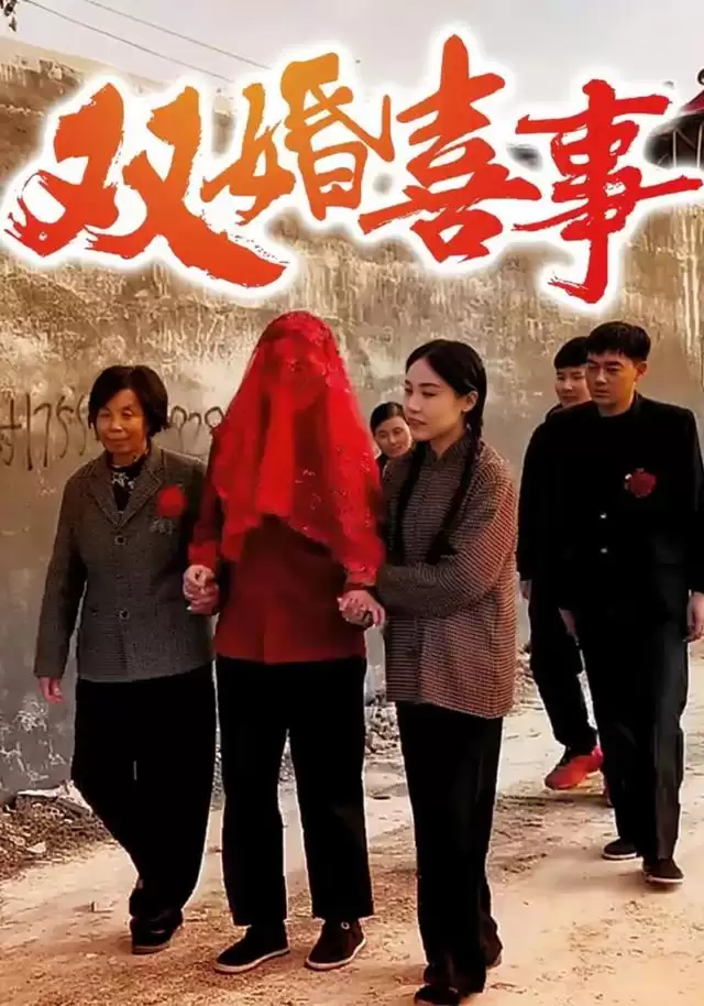 短剧《双婚喜事》剧情介绍
