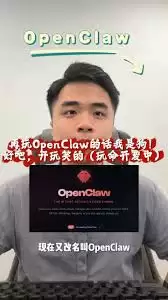 openclaw开发者是谁
