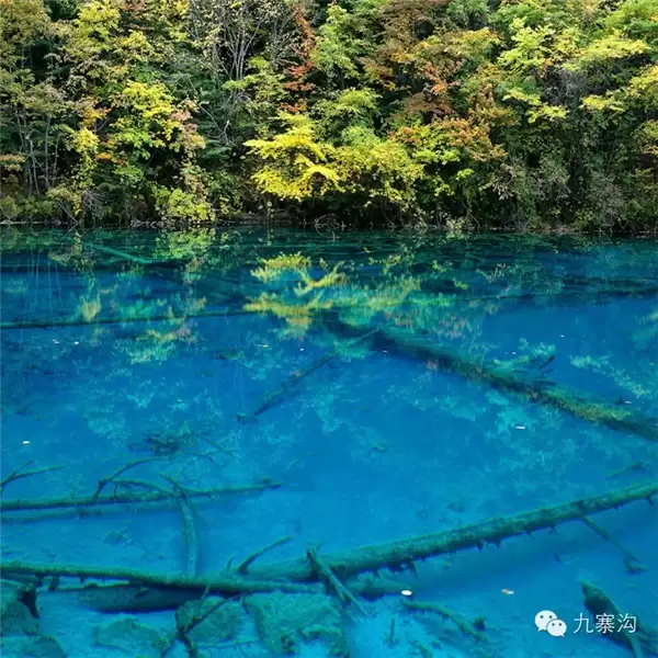 九寨沟湖水绚丽色彩系自然形成:无染色无污染
