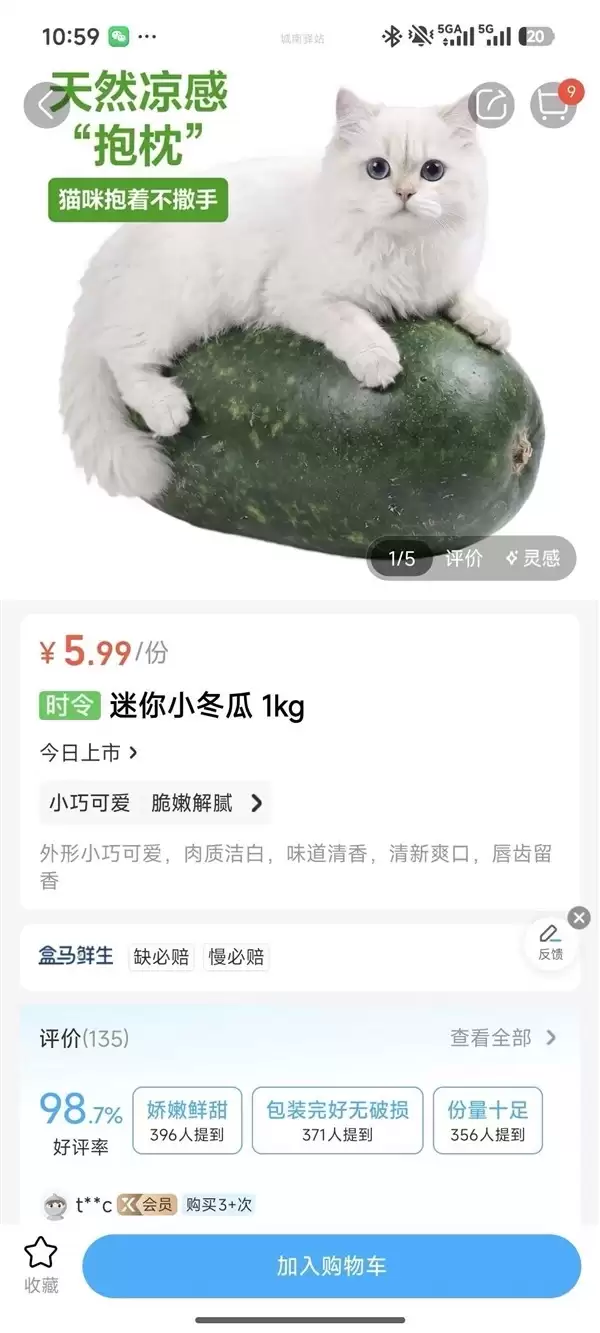 迷你冬瓜宠物凉枕宣传图比例失真引争议：品牌紧急调整视觉呈
