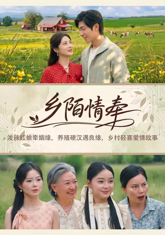 短剧《乡陌情牵》剧情介绍