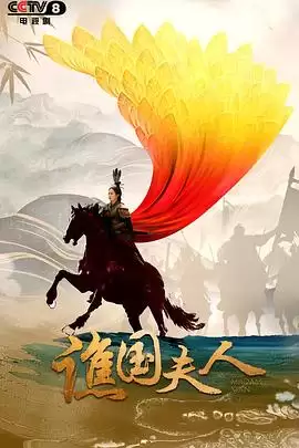 电视剧《谯国夫人》剧情介绍