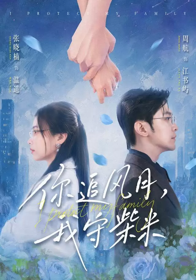 短剧《你追风月：我守柴米》剧情介绍