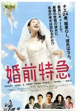 电影《婚前特急》剧情介绍