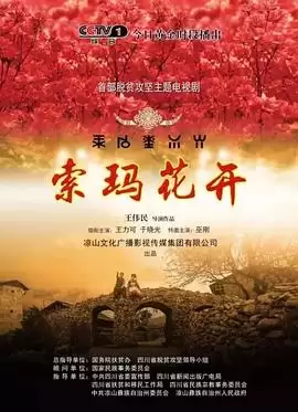 电视剧《索玛花开》剧情介绍