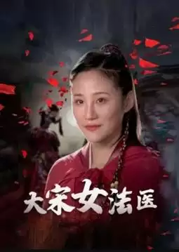 电视剧《大宋女法医》剧情简介