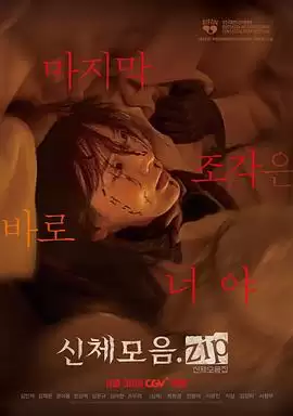 电影《身体集合.zip》剧情介绍