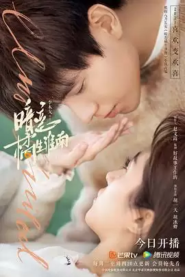 电视剧《暗恋·橘生淮南2021》剧情介绍