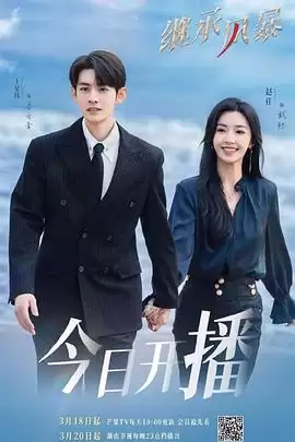 电视剧《继承风暴》剧情介绍