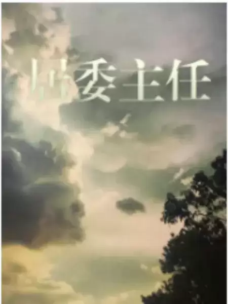 电视剧《居委主任》剧情介绍