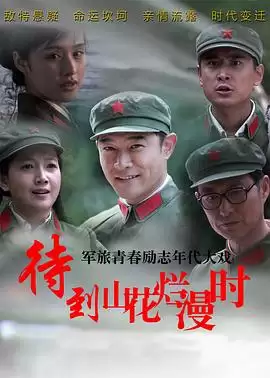 电视剧《待到山花烂漫时》剧情介绍