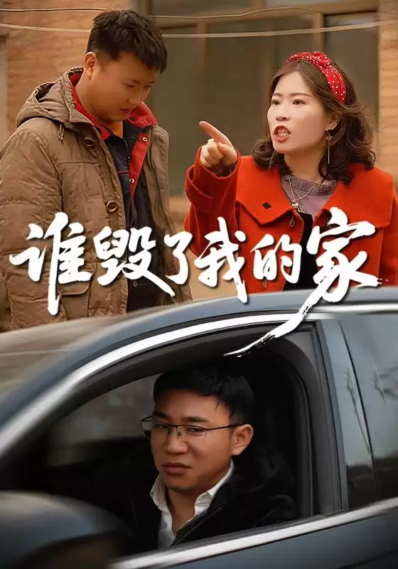 短剧《谁毁了我的家》剧情介绍
