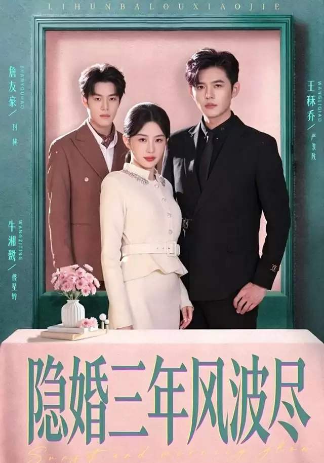 短剧《隐婚三年风波尽》：剧情介绍