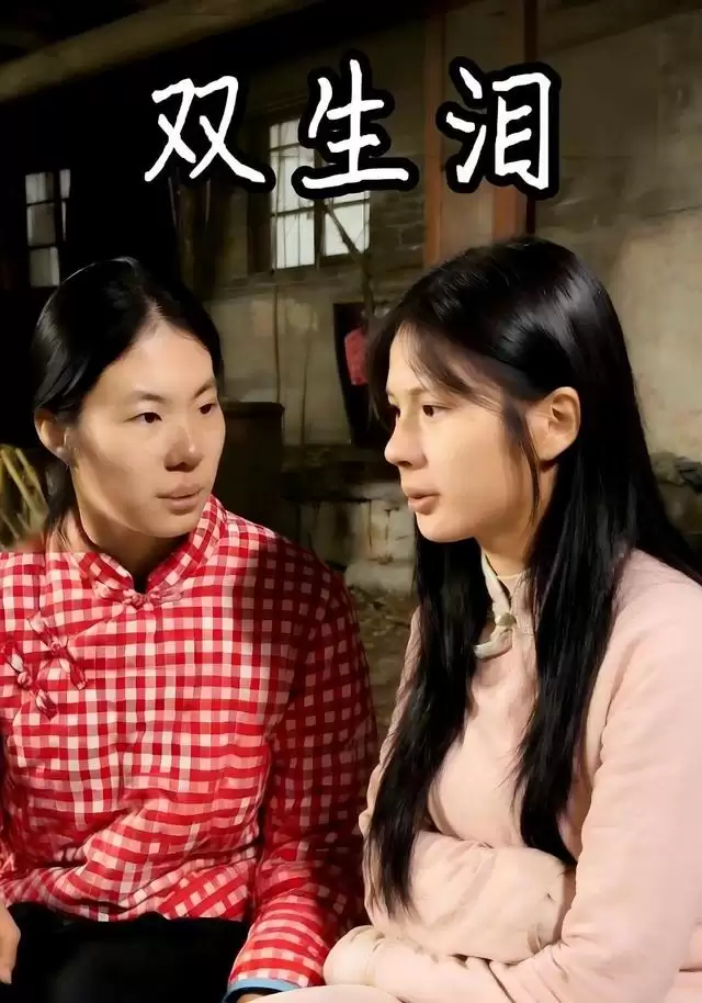 短剧双生泪剧情介绍