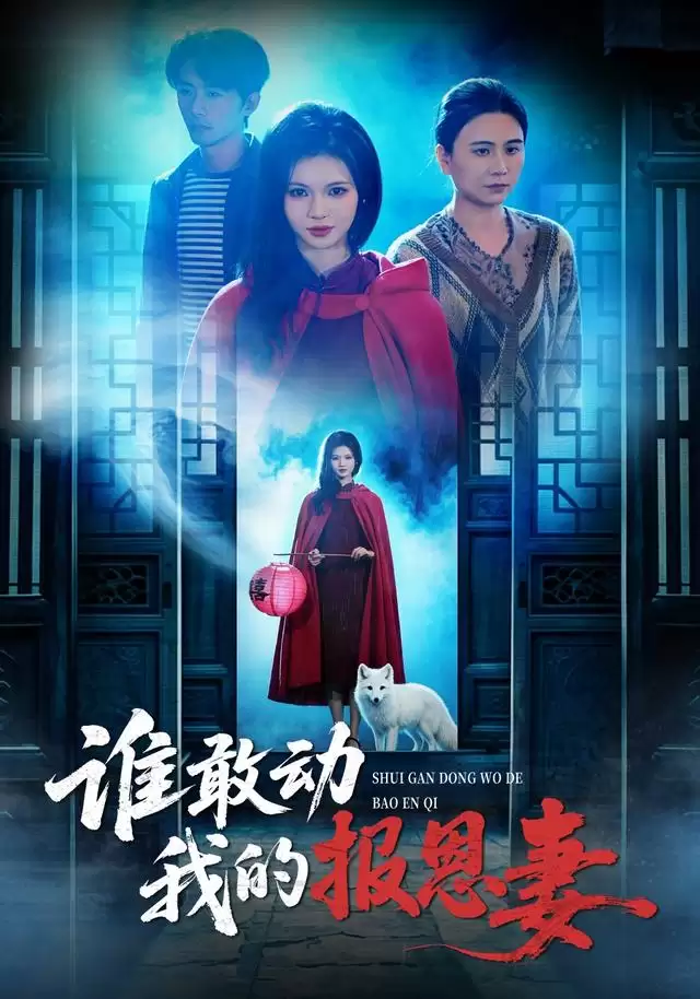 短剧《谁敢动我的报恩妻》剧情介绍