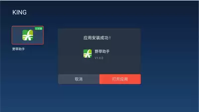 小米电视野草助手如何下载
