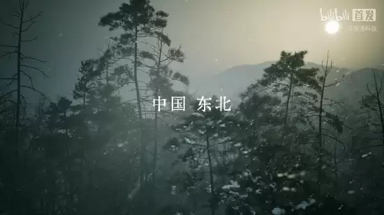 抵抗者登陆2026 ChinaJoy：首款抗战题材FPS