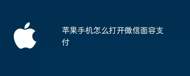 苹果手机如何打开微信面容支付