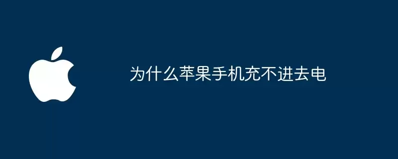 为什么苹果手机无法充电