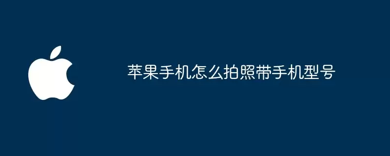 苹果手机怎样拍照带手机型号