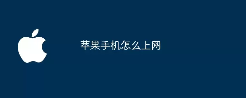 苹果手机怎样上网