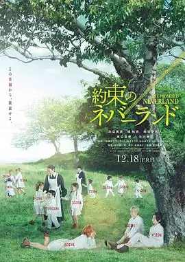 电影《约定的梦幻岛》剧情介绍概述