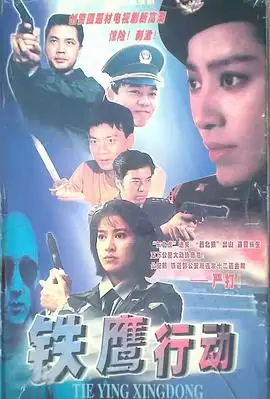 电视剧铁鹰行动剧情介绍