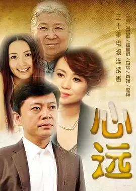 电视剧《心远》剧情概述
