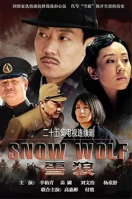 《雪狼》电视剧剧情介绍