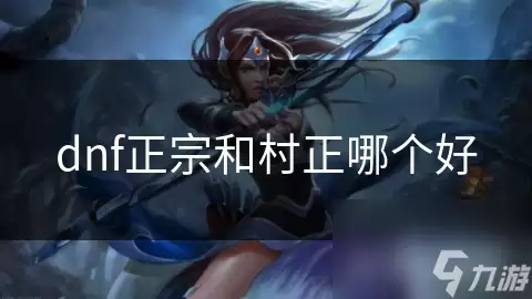 dnf正宗和村正哪个更好