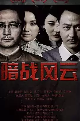 电视剧暗战风云剧情介绍