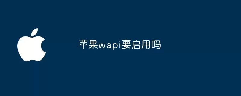 苹果wapi该启用吗