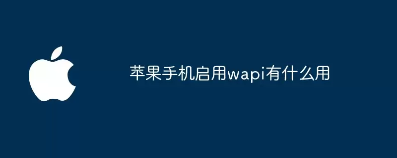 苹果手机启用wapi有啥用