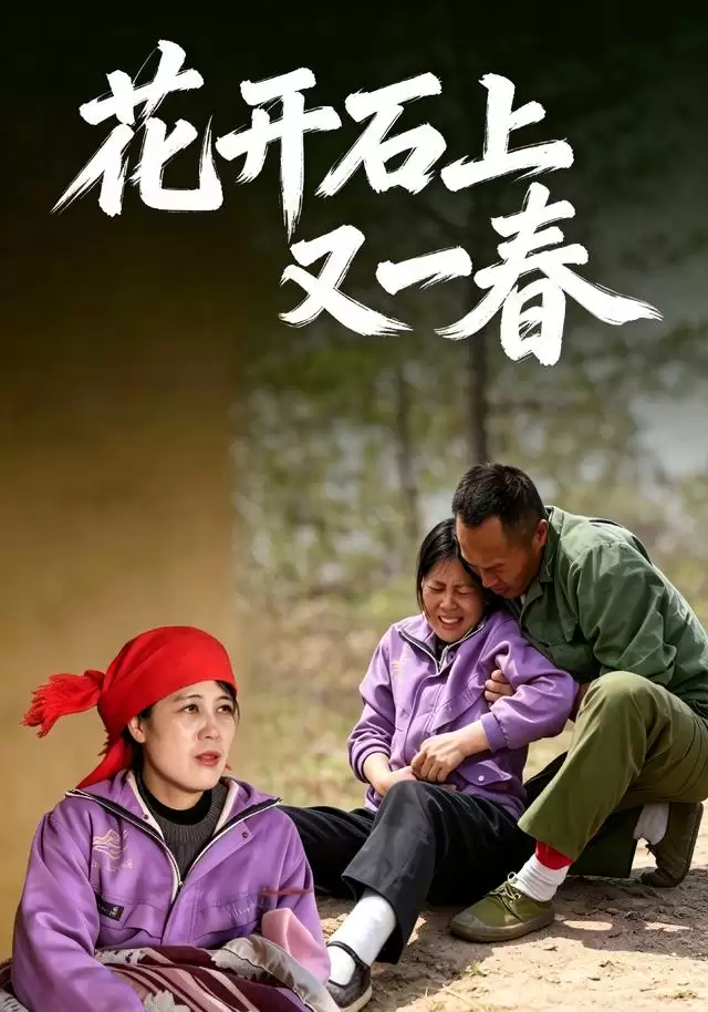 短剧《花开石上又一春》剧情介绍