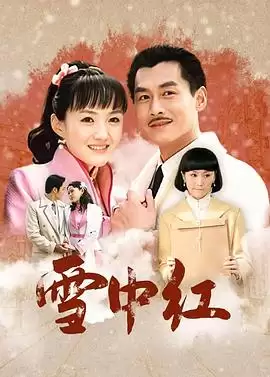 电视剧《雪中红》剧情介绍