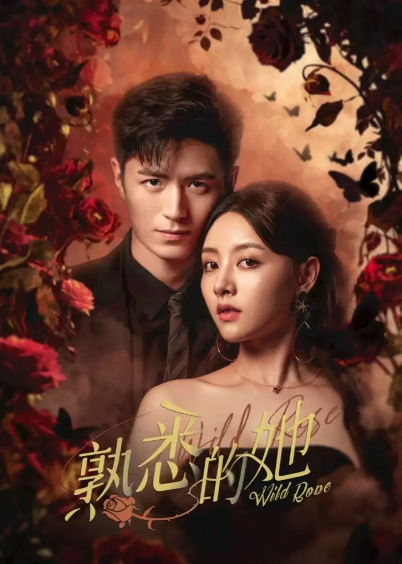 电视剧《熟悉的她》剧情介绍