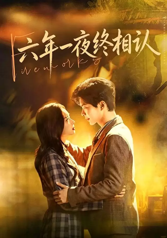 短剧六年一夜终相认剧情介绍