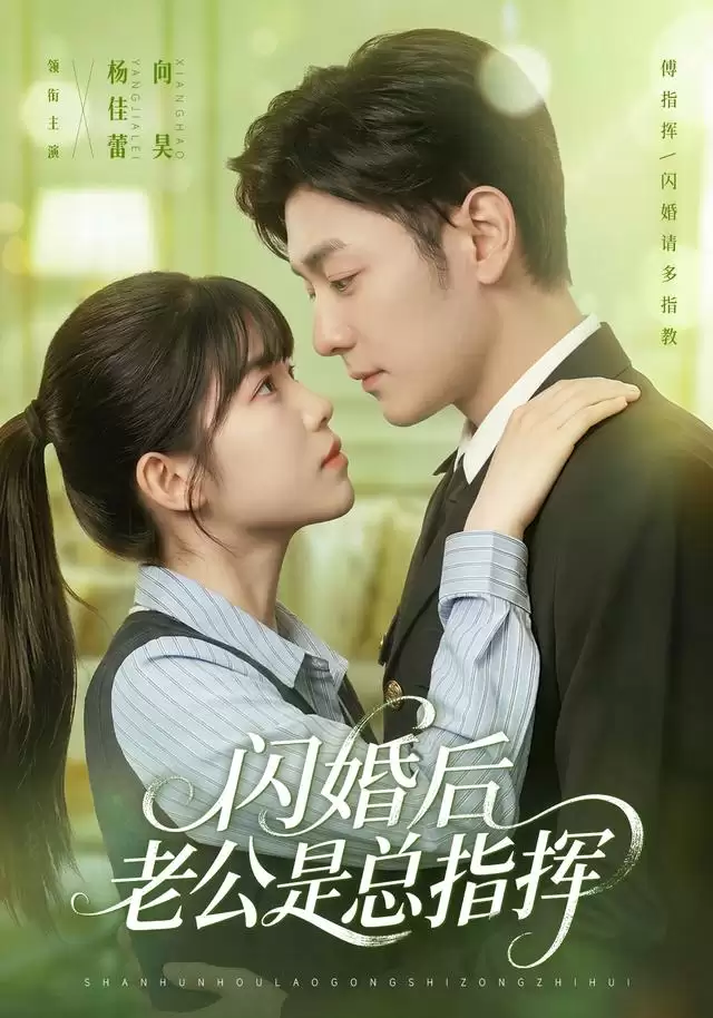 短剧《闪婚后老公是总指挥》剧情介绍