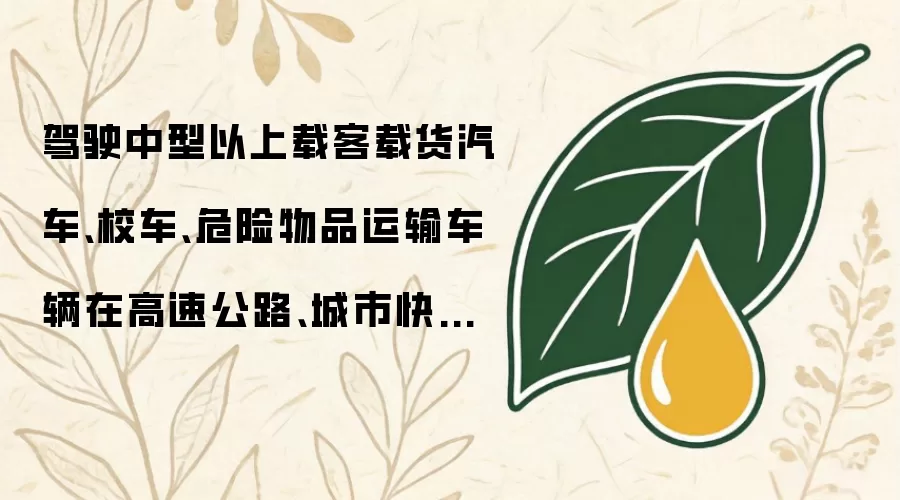 驾驶中型以上载客载货汽车:校车:危险物品运输车辆在高速公路:城市快速路上超速未达20%扣几分