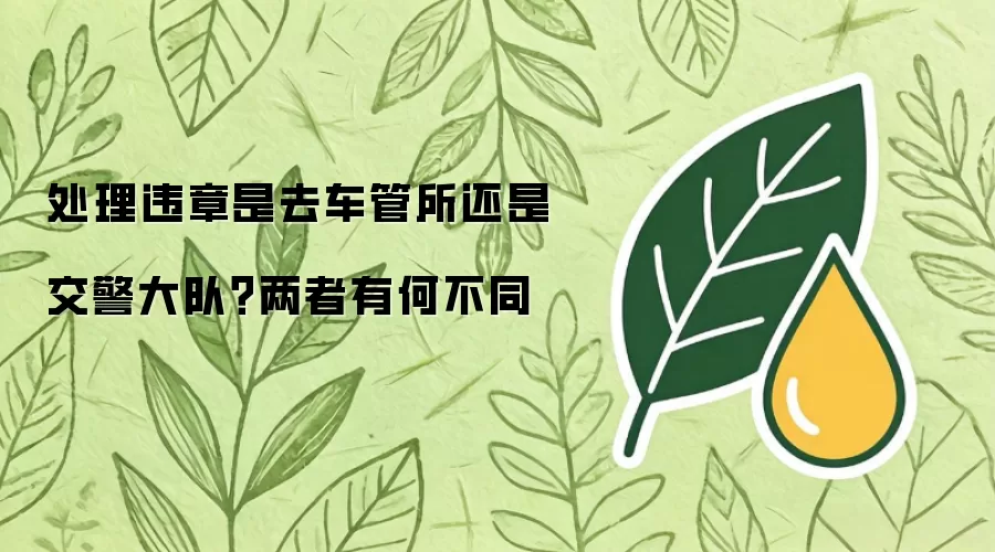 处理违章该去车管所还是交警大队？两者有何不同