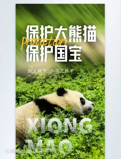 熊猫办公官网登录入口在哪