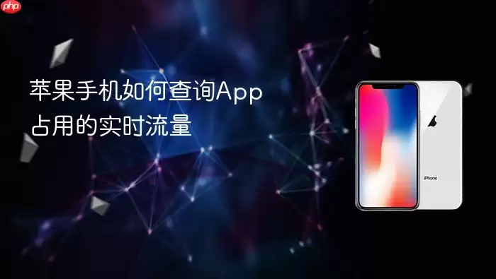 苹果手机怎么查看App占用的实时流量