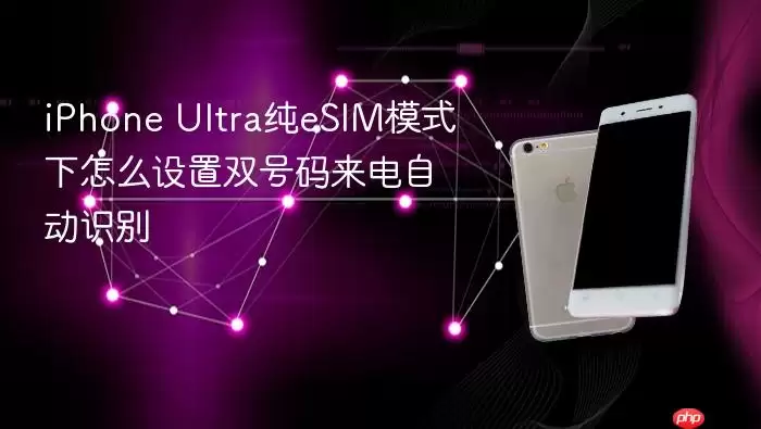 iPhone Ultra纯eSIM模式下怎样设置双号码来电自动识别