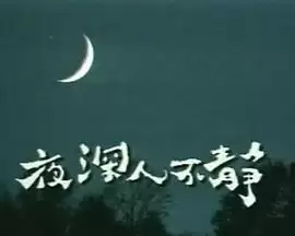 电视剧《夜深人不静》剧情简介