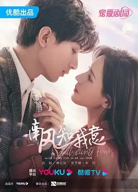 《南风知我意》电视剧剧情介绍