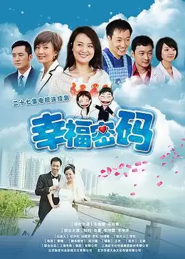 电视剧《幸福密码》剧情简介