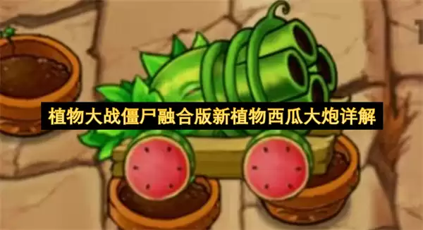 植物大战僵尸融合版新植物西瓜大炮详细解读