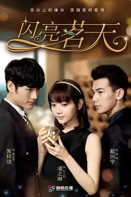 电视剧闪亮茗天剧情介绍
