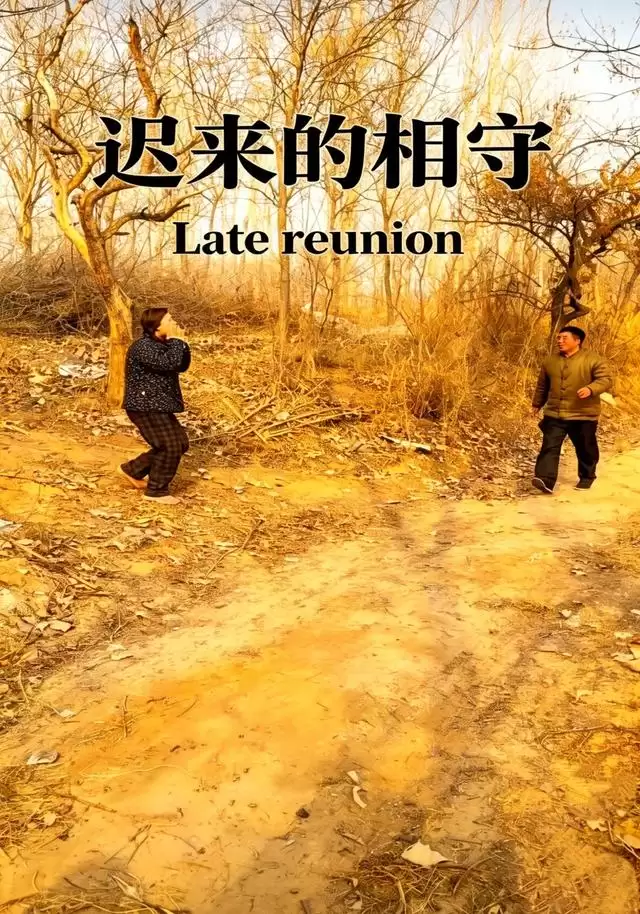 短剧《迟来的相守》剧情介绍